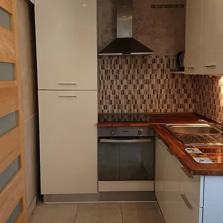 Appartement Nice Free Parking Geneve C1