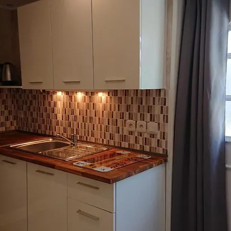 Appartement Nice Free Parking Geneve C1 Gaillard